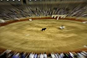  Baleares aprueba las corridas de toros sin sangre ni muerte