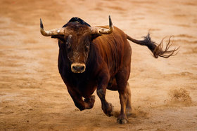 Entra en vigor la ley que prohíbe torturar y matar toros en Baleares