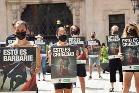 Medio centenar de activistas se manifiestan en Palma contra el regreso de las corridas de toros
